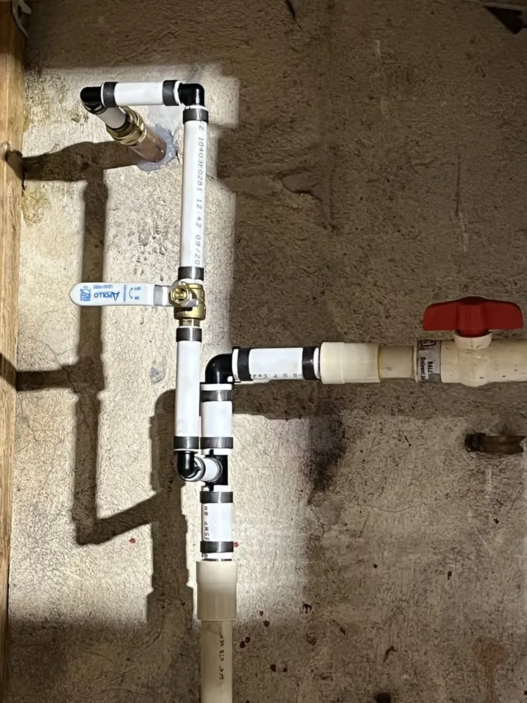 Slide of Fish Mechanical