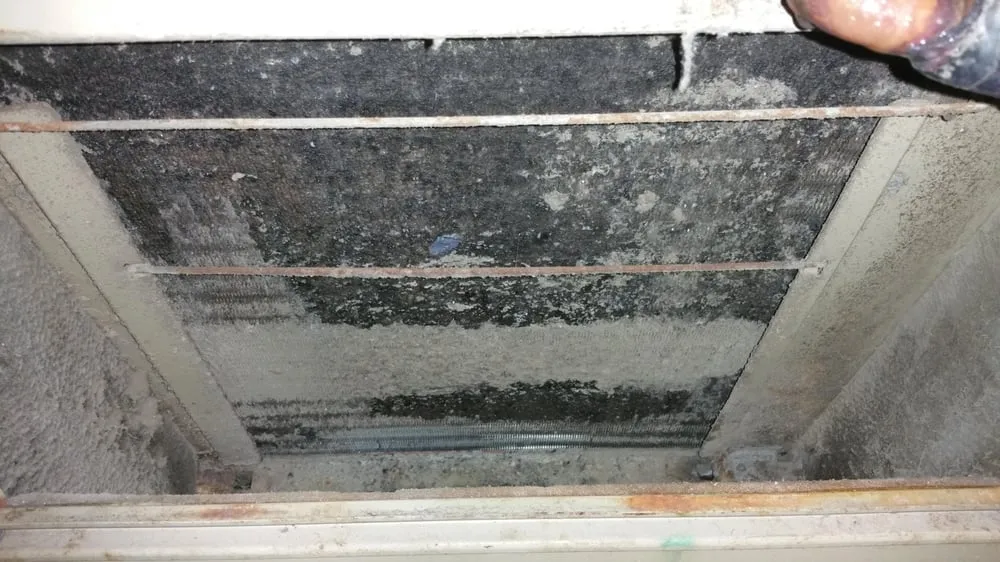 Slide of Five-0 Servicing