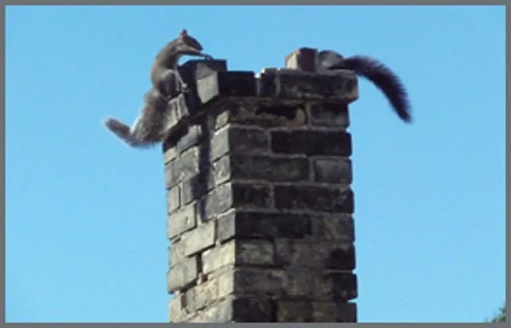 Slide of Five Star Chimney Heating And Cooling