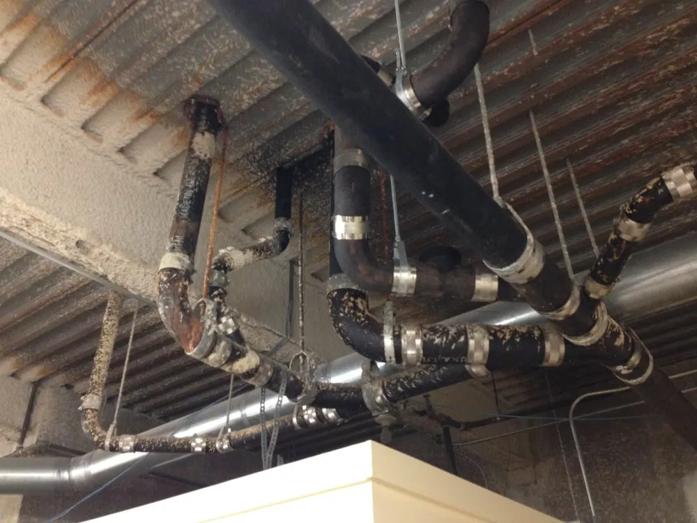 Slide of Five Star Drains and Plumbing