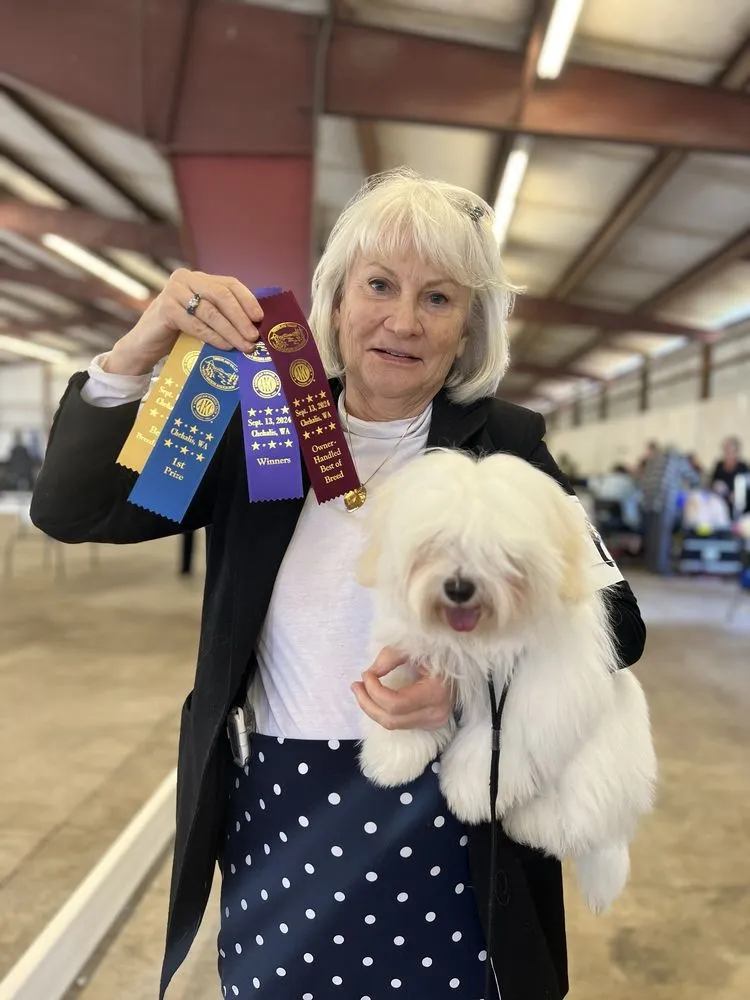 Slide of Five Star Mechanical