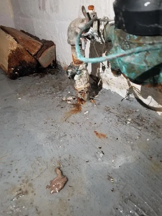 Slide of Five Star Plumbing & Waterproofing