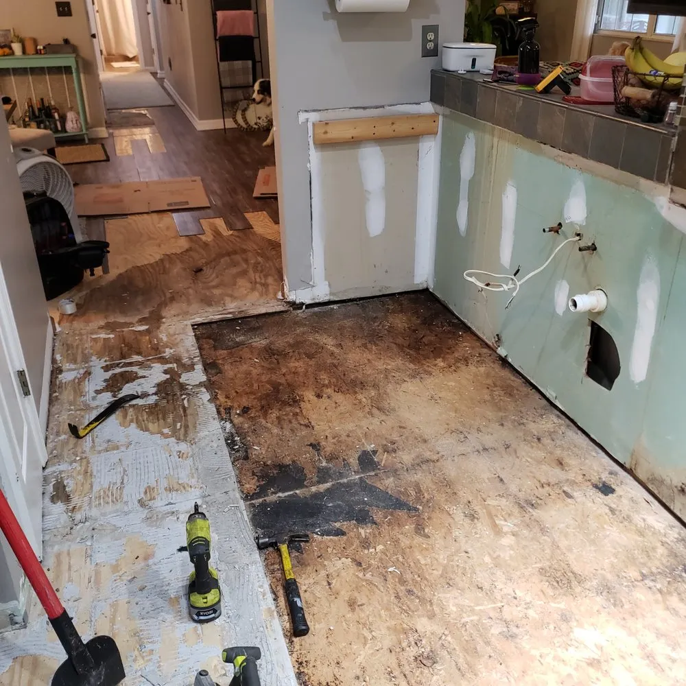 Slide of Fix A Saurus