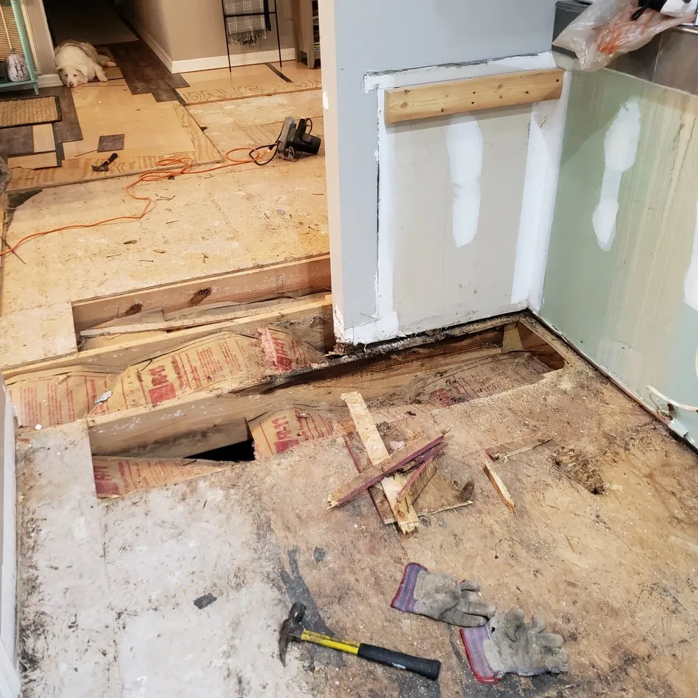 Slide of Fix A Saurus