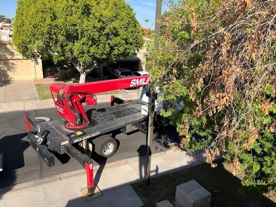 Slide of Fix It Frankie