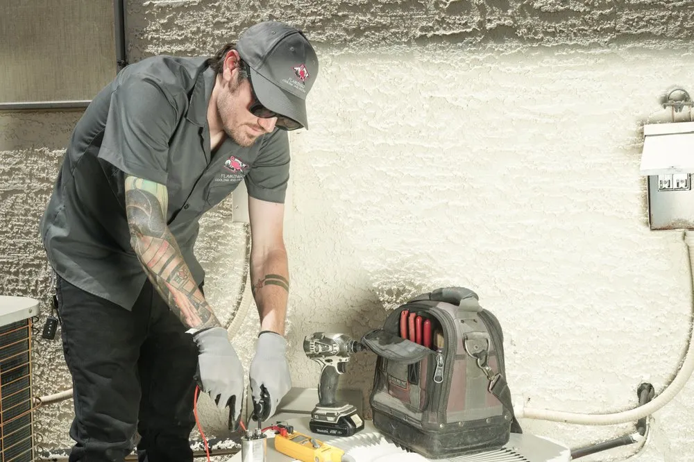 Slide of Flamingo Cooling and Heating