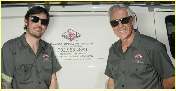 Slide of Flamingo Cooling and Heating