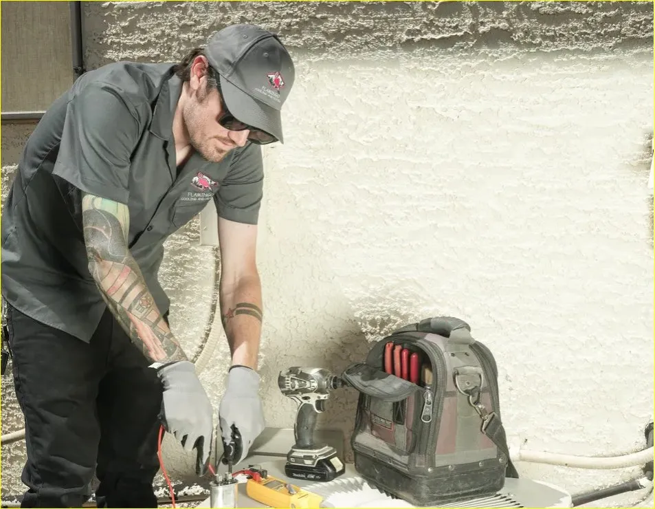 Slide of Flamingo Cooling and Heating