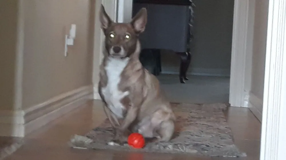 Slide of Flash Heating and Home Repair