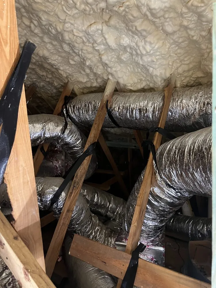 Slide of Florida Aire