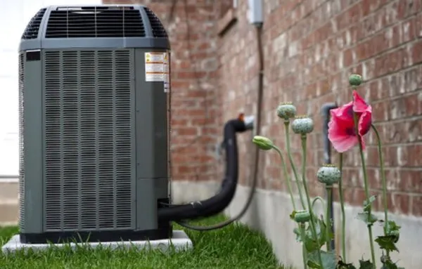 Florida Climate Solutions