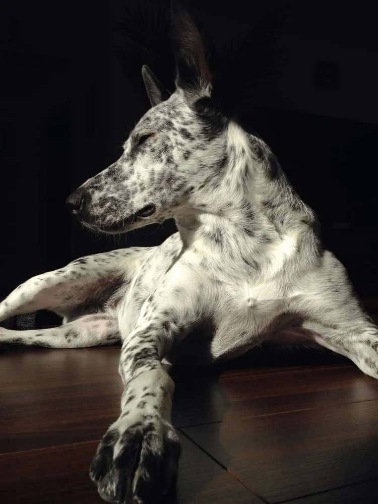 Slide of Florida Energy Air Conditioning