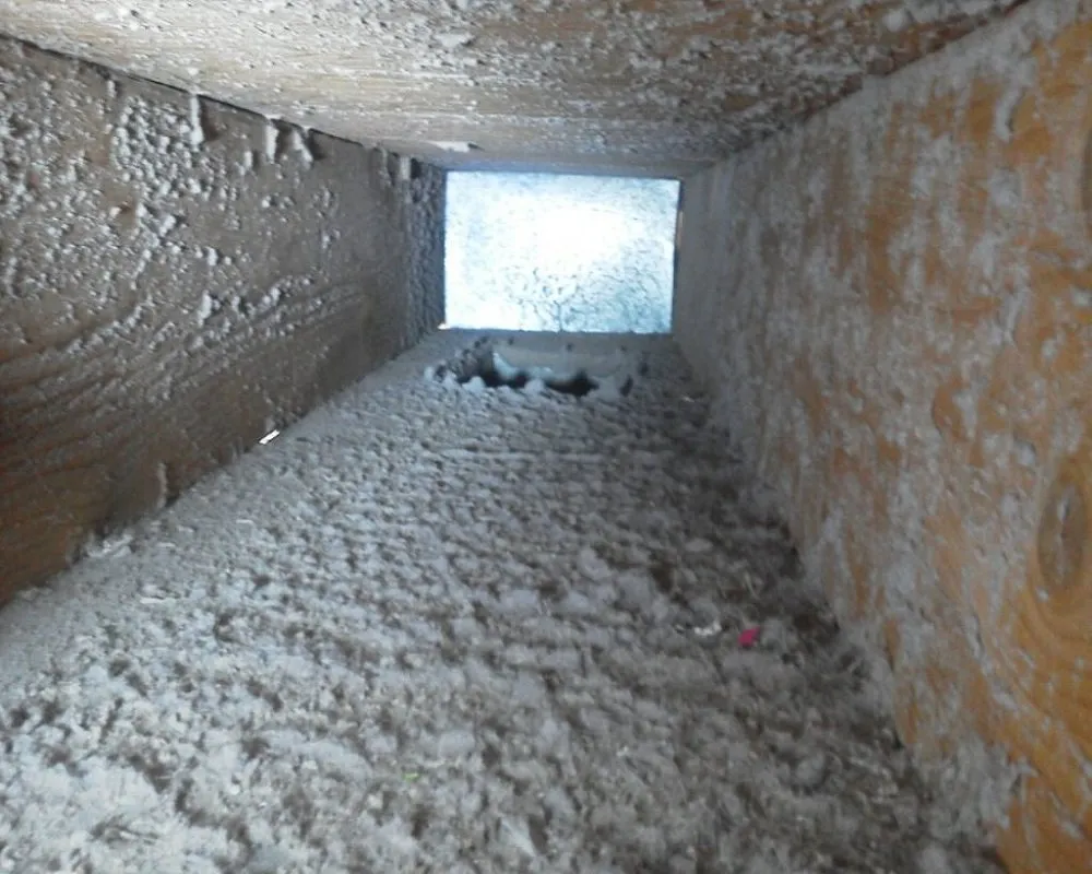 Slide of Focus Quality