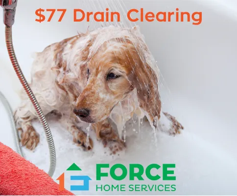 Slide of Force Home Services