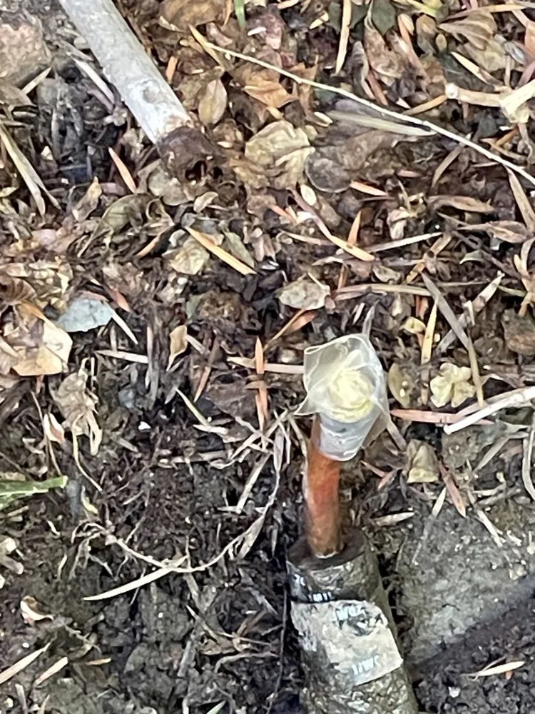 Slide of Ford's Plumbing and Heating