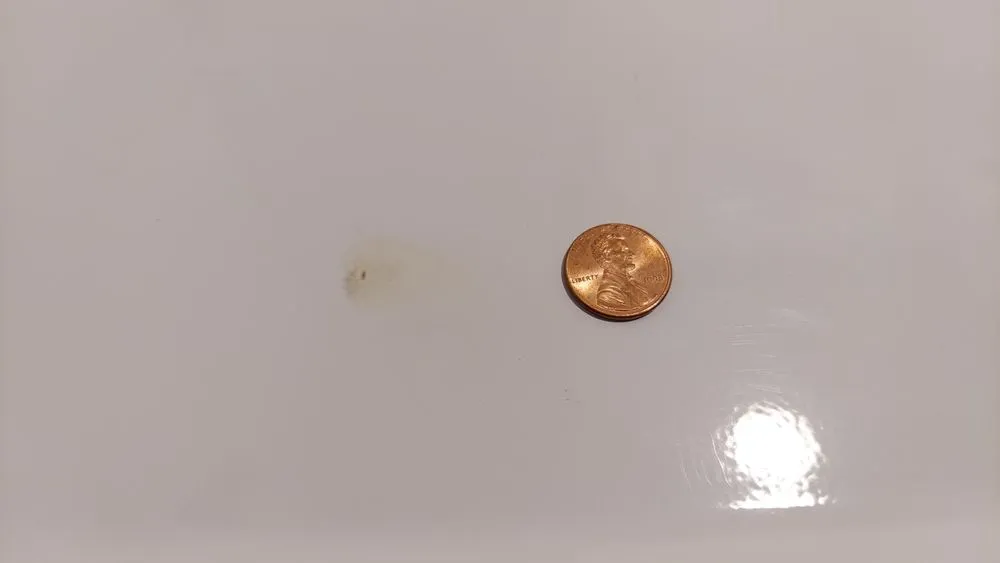 Slide of Fore Gen Plumbing