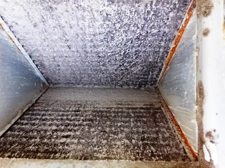 Slide of Forest Air Conditioning & Heating