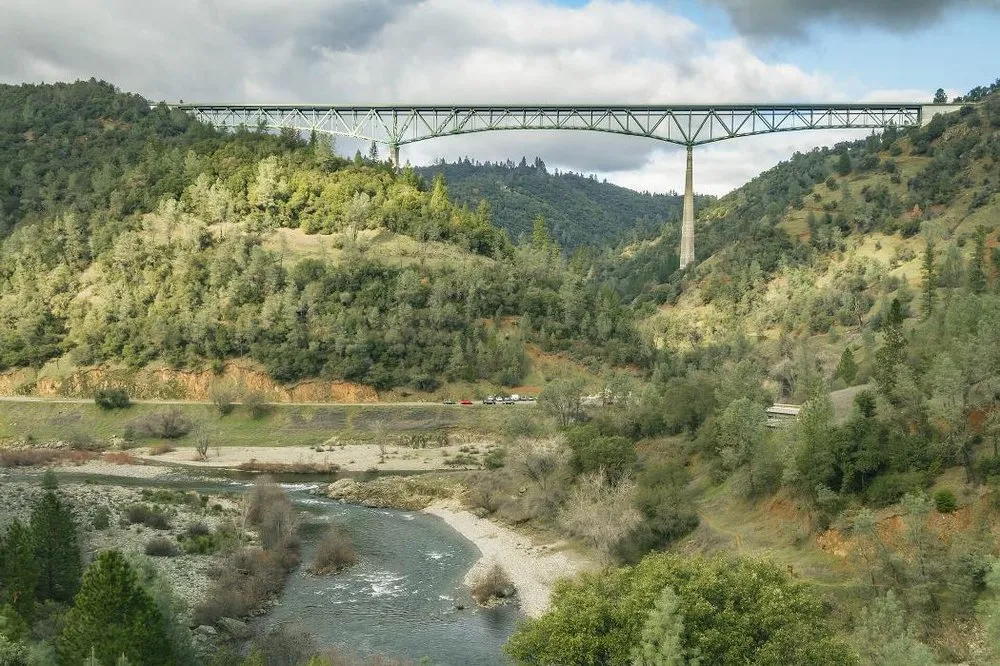 Slide of Forest Mechanical