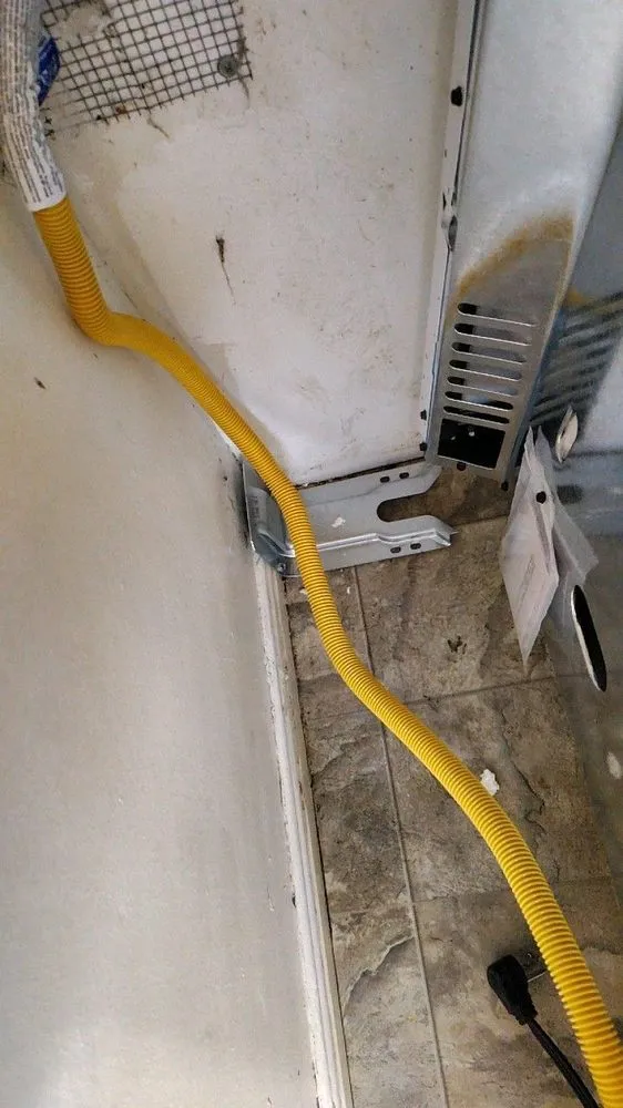 Slide of Fortis Pros