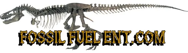 Fossil Fuel Enterprises