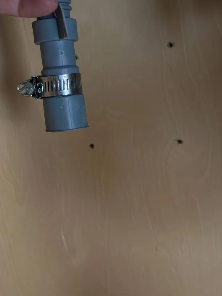 Slide of Found Bardamov