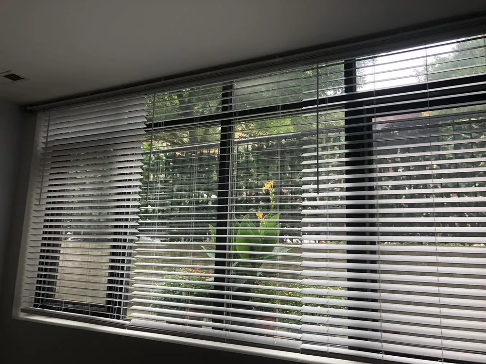 Slide of Found Bardamov