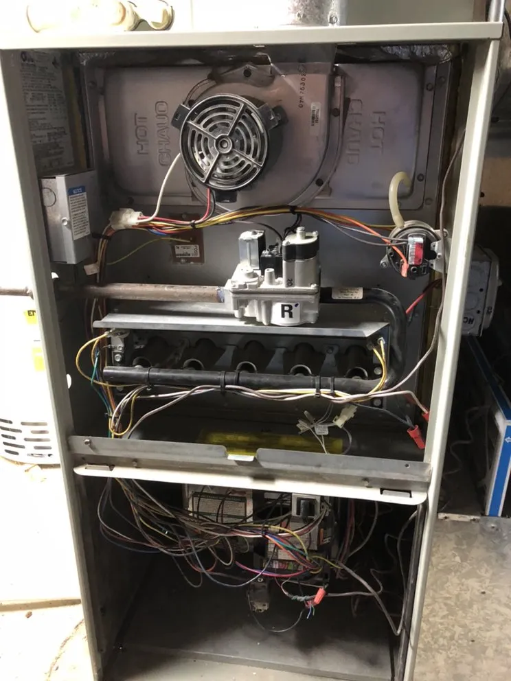 Slide of Found Bardamov