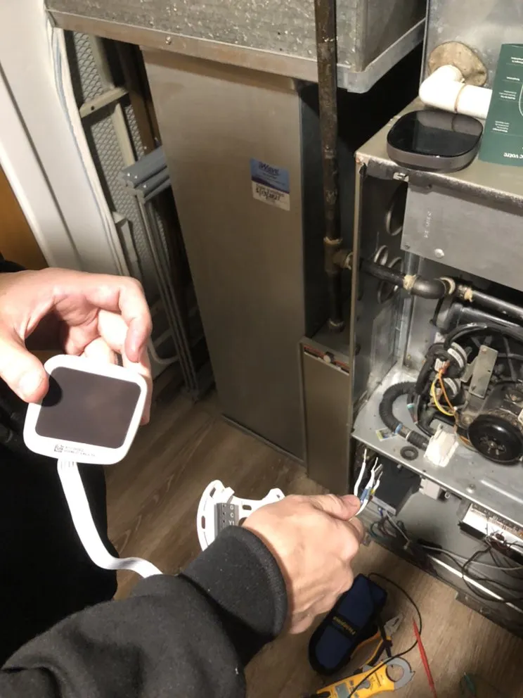 Slide of Found Bardamov