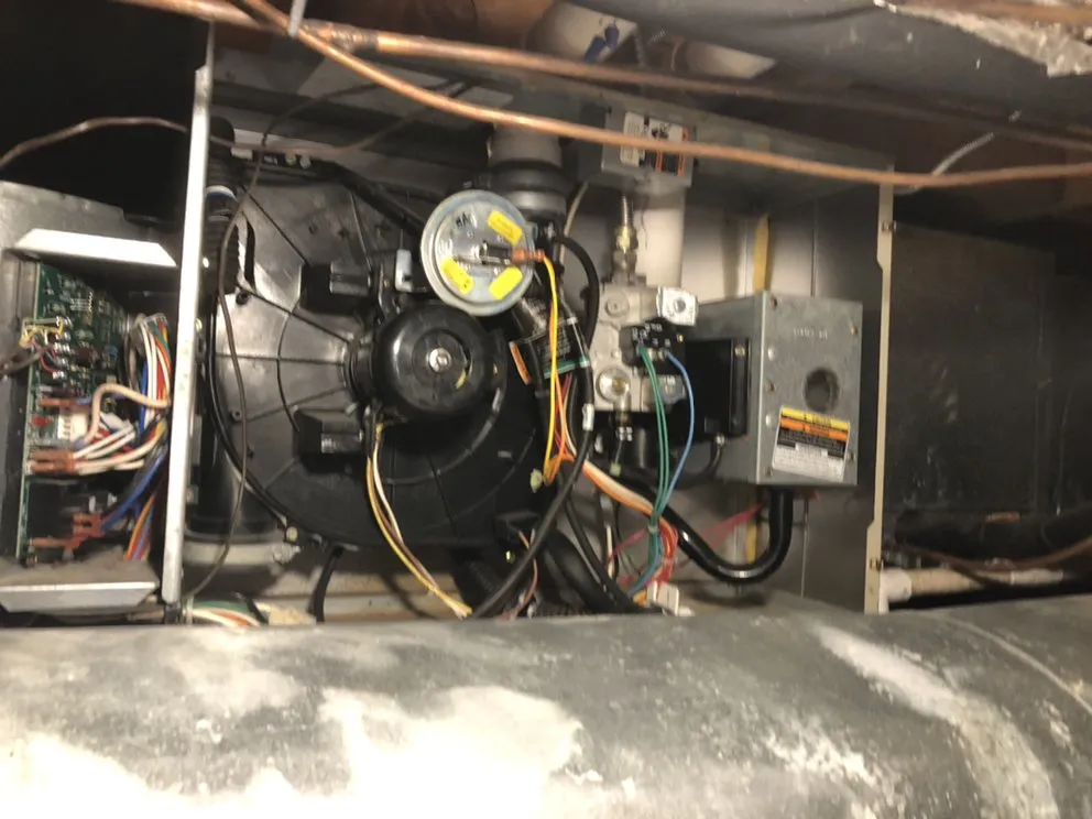 Slide of Found Bardamov