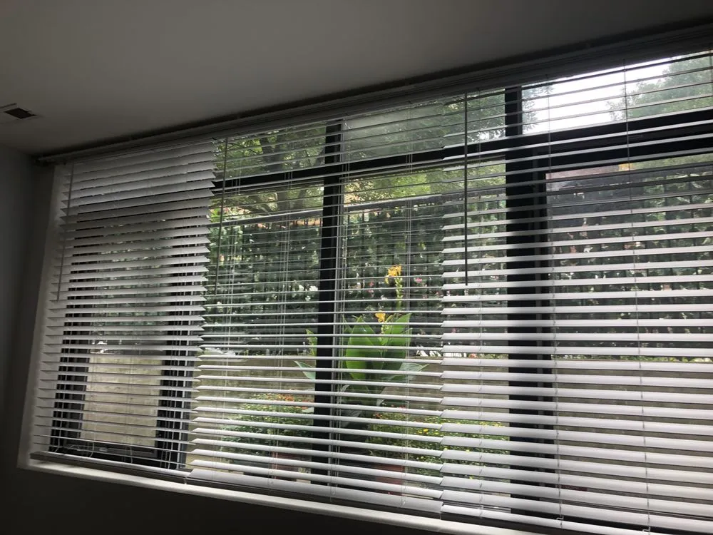 Slide of Found Bardamov