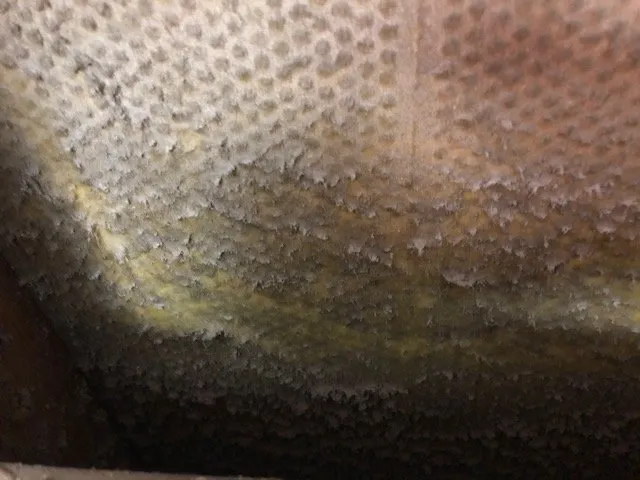 Slide of Four Season's Air Care