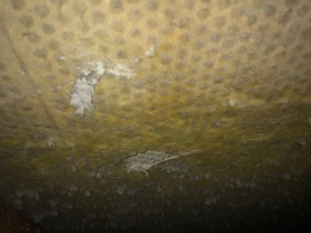 Slide of Four Season's Air Care