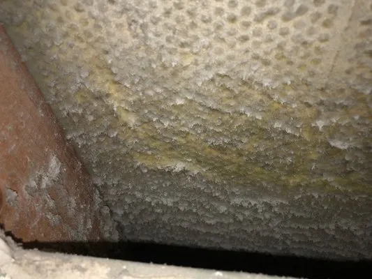 Four Season's Air Care