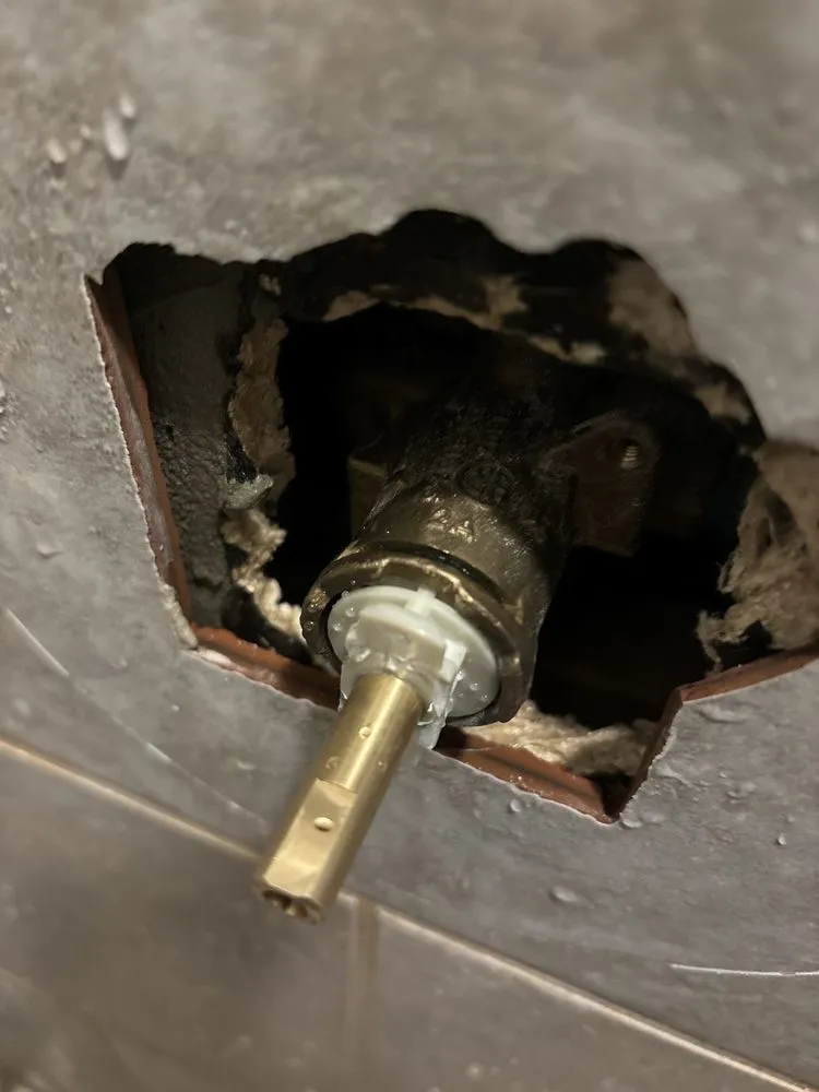 Slide of Fowlin Fix It