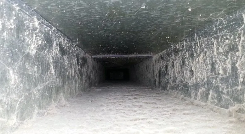 Slide of Fox Duct Dallas