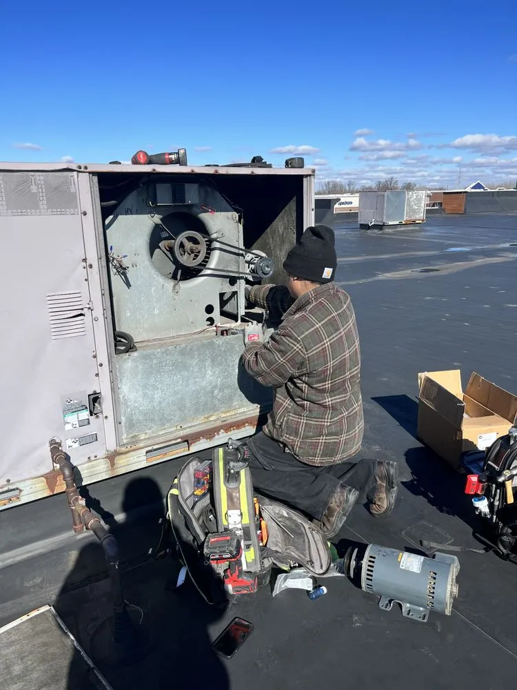 Slide of Frank & Frank