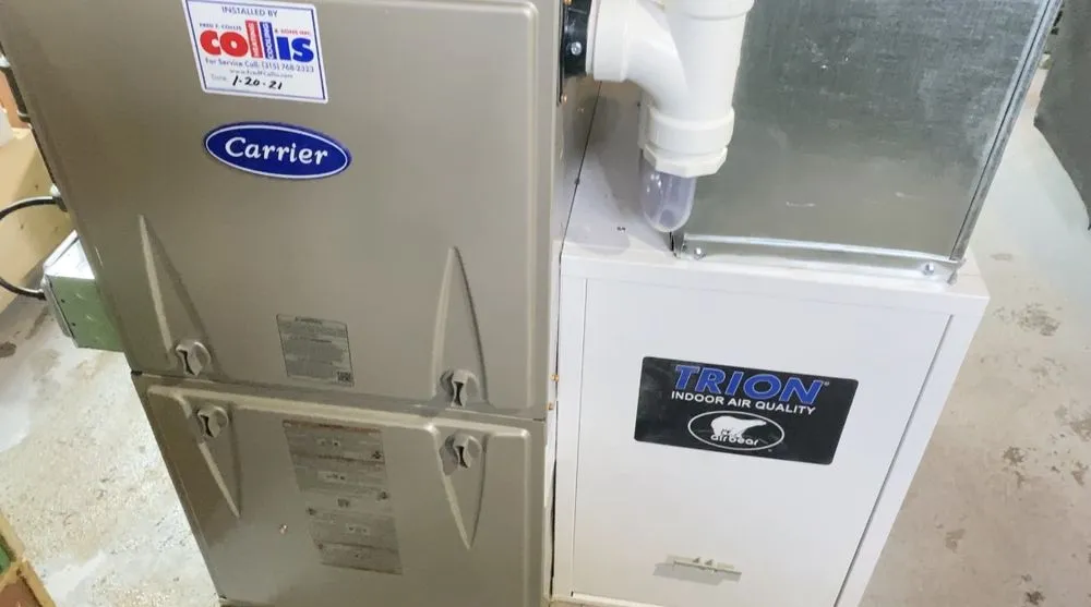 Slide of Fred F. Collis & Sons