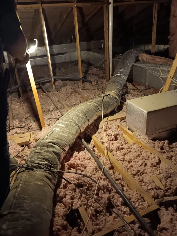 Slide of Fredy Repairs