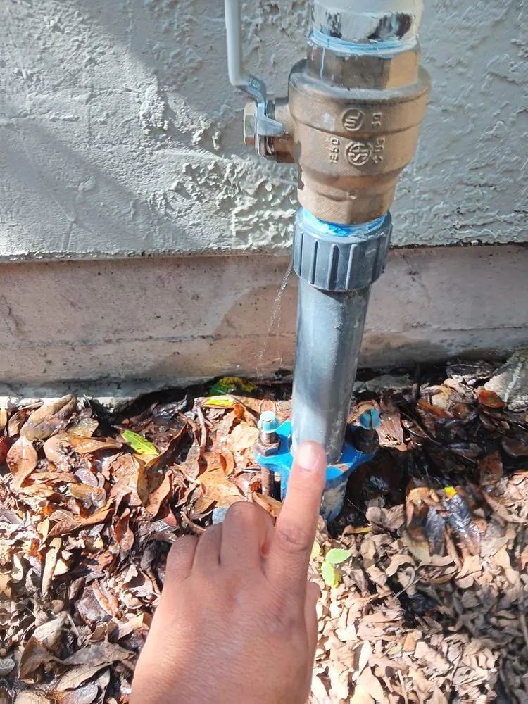 Slide of Fredy Repairs