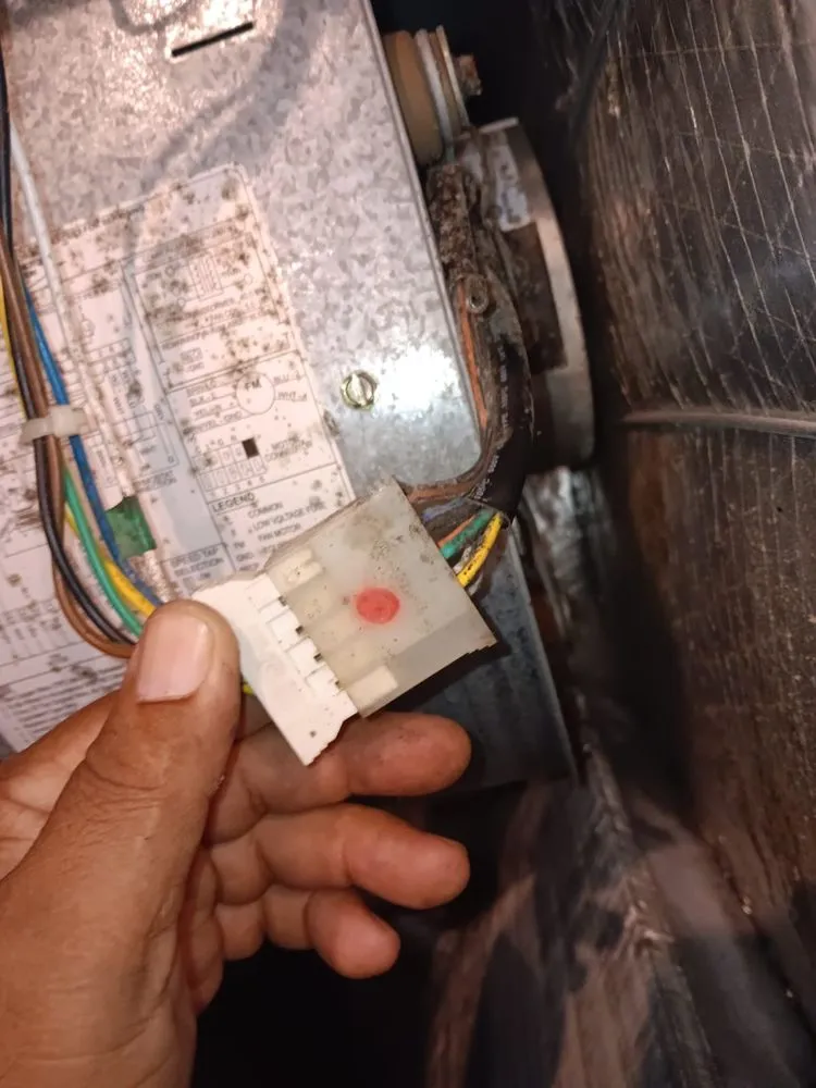 Slide of Fredy Repairs