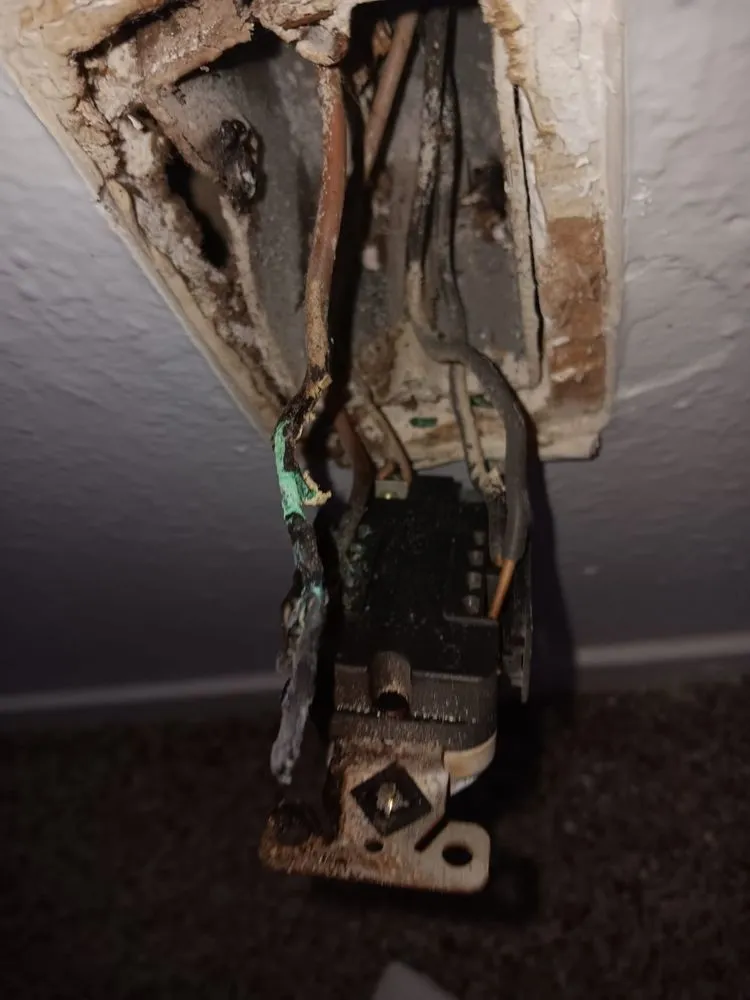 Slide of Fredy Repairs