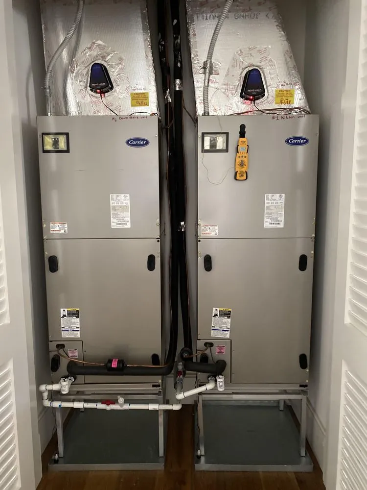 Slide of Free Will and Testament