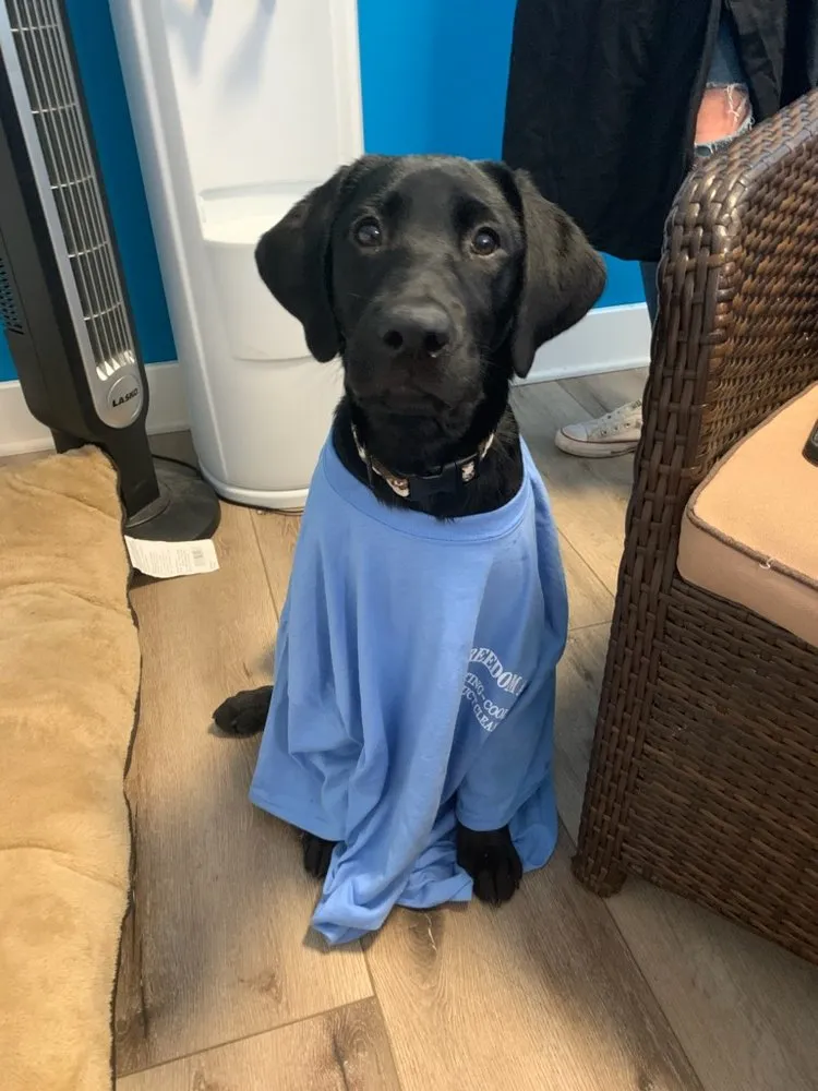 Slide of Freedom Air Heating & Cooling