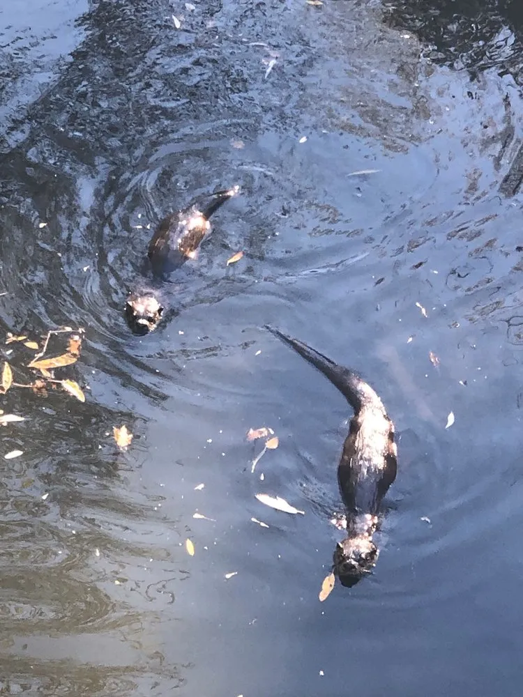 Slide of Freedom Heating & Air Conditioning