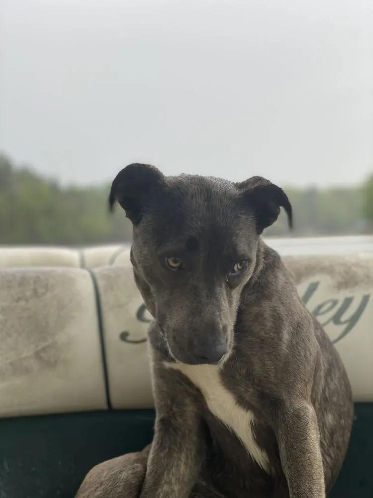 Slide of Freedom Heating & Cooling