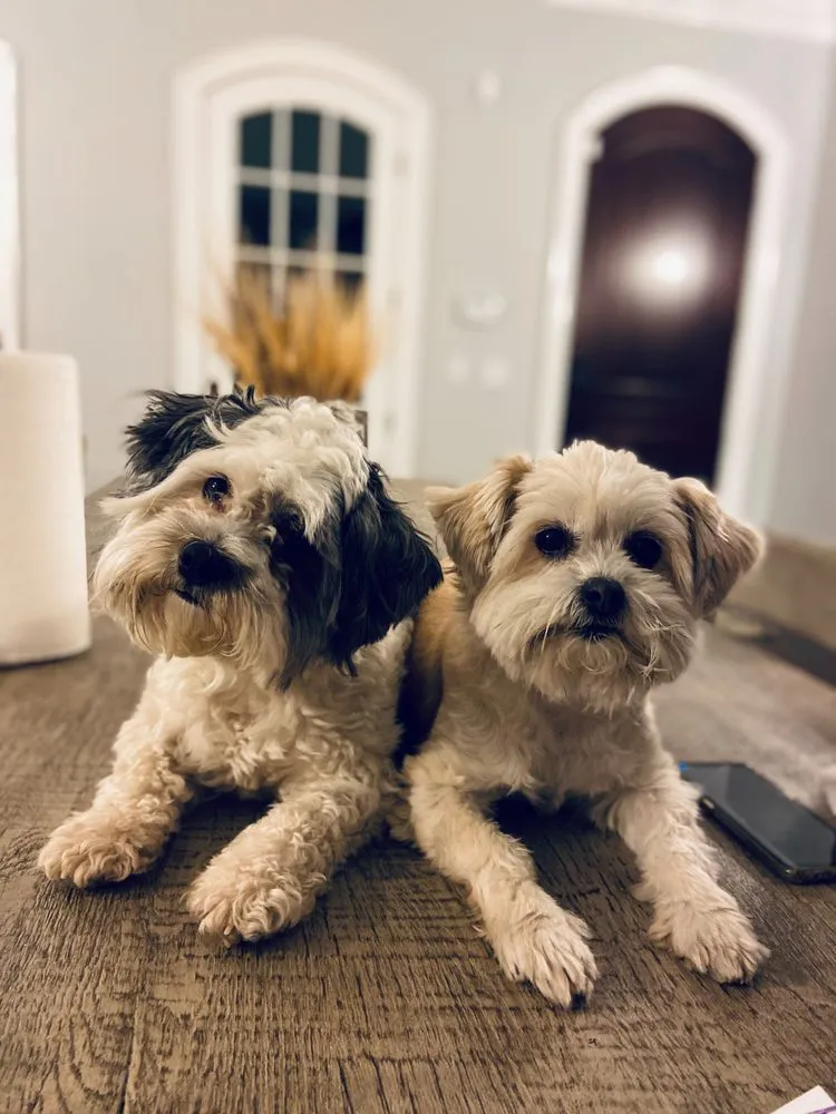 Slide of Freedom Heating, Cooling & Electrical