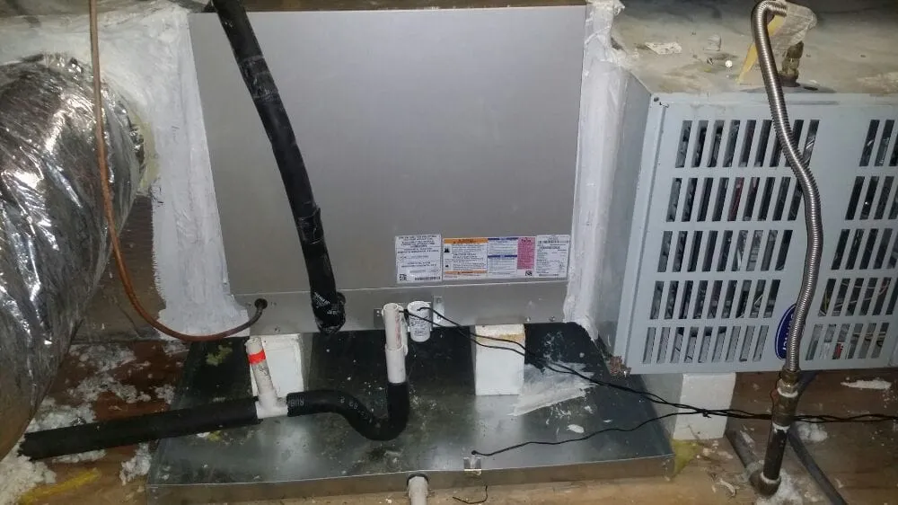 Slide of Freeze Technology