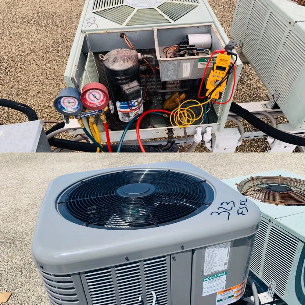 Slide of Freezin' South Florida