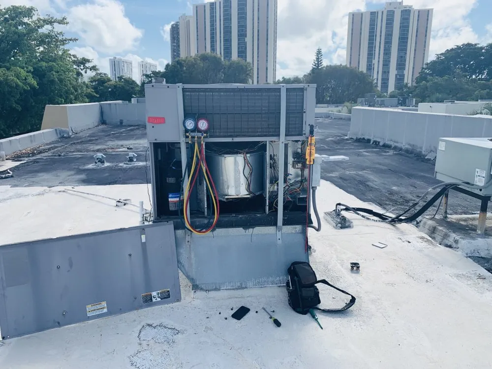 Slide of Freezin' South Florida