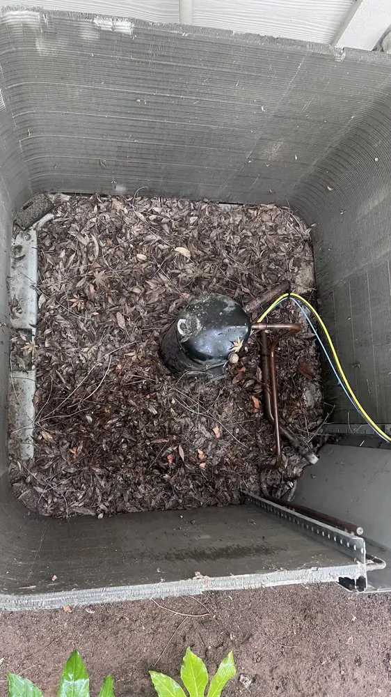 Slide of Freon And Fire